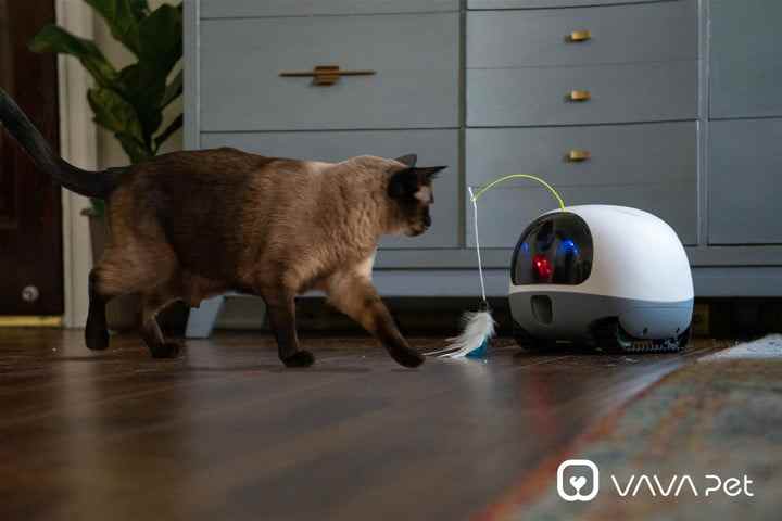 Chat avec caméra Vava Mobile Pet.