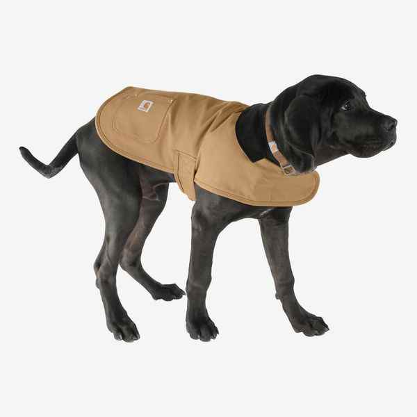 Carhartt Chore Manteau isolé pour chien Taille M