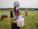 Un technicien industriel de la ville de Calgary tient une cruche d'eaux usées sur un site de collecte pendant que des chercheurs de l'Université de Calgary vérifient l'équipement de surveillance pour détecter des traces de COVID-19 dans le système d'égout à Calgary, en Alberta.  en juillet 2021.