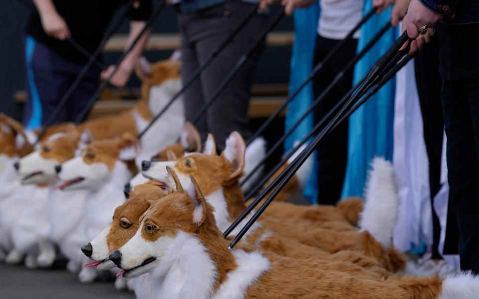 Un groupe de marionnettes corgi fabriquées par la marionnettiste Louise Jones - Kirsty Wigglesworth 