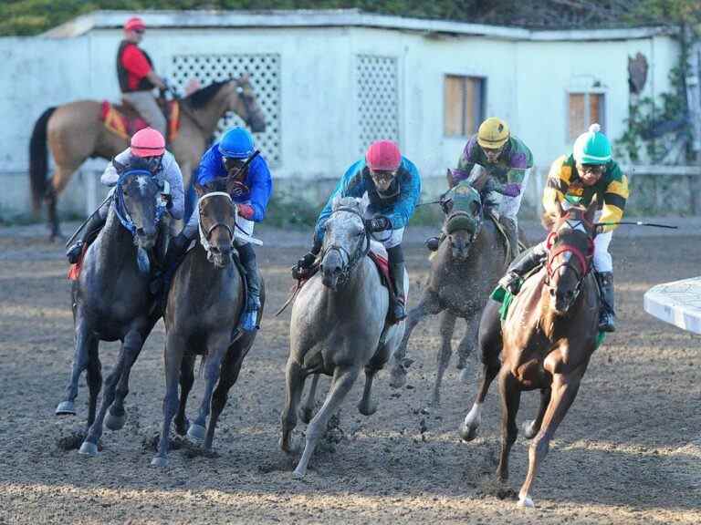 L’hippodrome de Hastings de retour sur la bonne voie samedi après deux saisons de silence