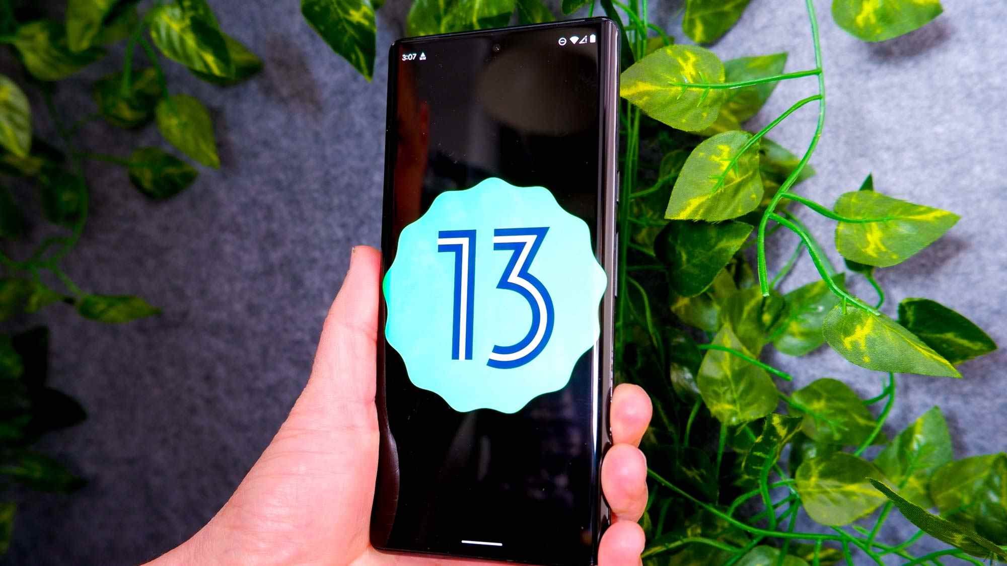 Logo Android 13 sur un smartphone