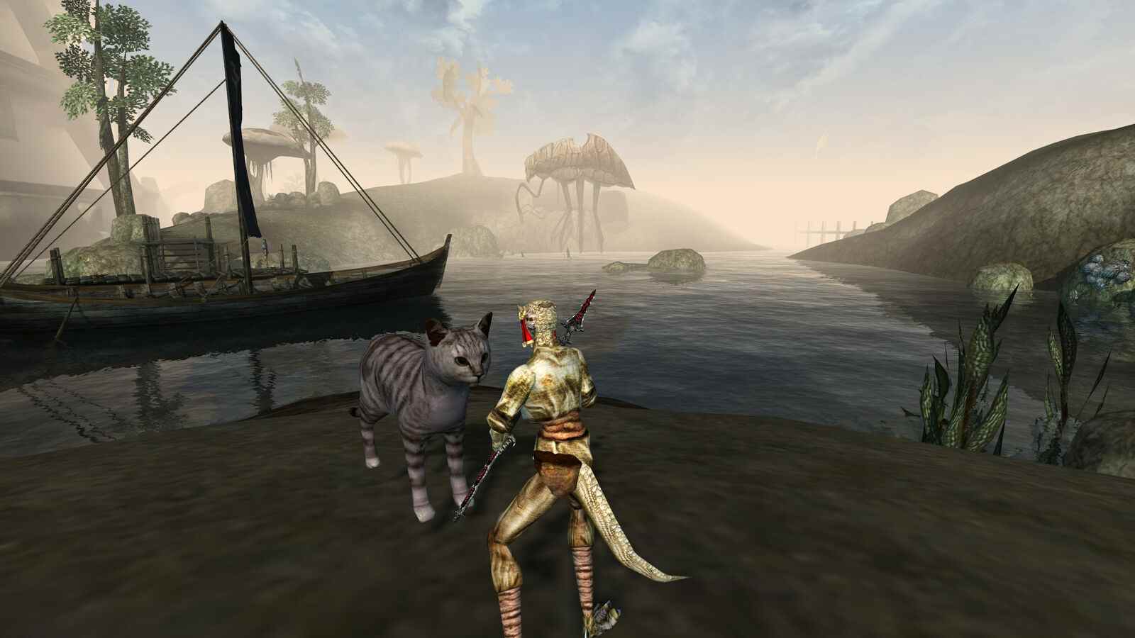 Screenshot Secrets : photographier Stripes le chat de la famille à Morrowind

