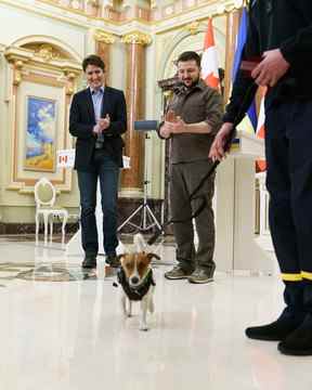 L'un des aspects les moins connus de la visite du premier ministre Justin Trudeau en Ukraine est qu'il a aidé à décerner une médaille à un chien.  Patron le Jack Russell terrier a été crédité d'avoir reniflé plus de 200 explosifs depuis le début de l'invasion de l'Ukraine par la Russie en février.