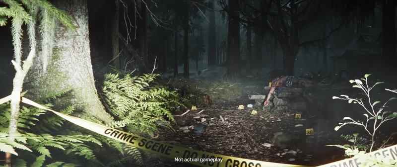 Alan Wake 2 Forêt Image