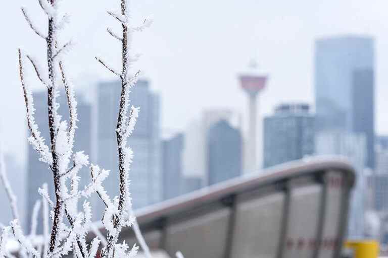 Des accusations de violence et d’intimidation font suite à un exode massif chez un courtier pétrolier de Calgary