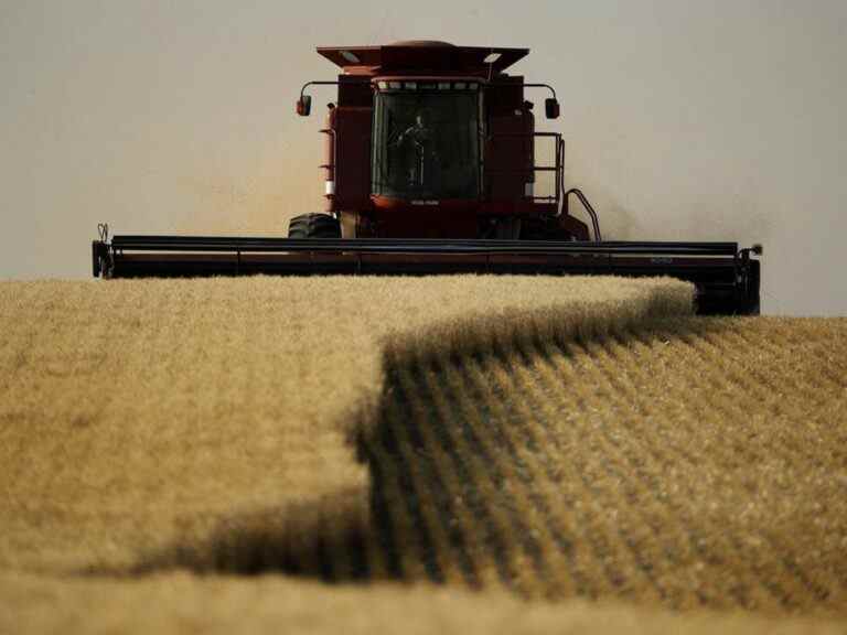 Le CN se prépare à une augmentation des expéditions de céréales alors que l’optimisme grandit pour la récolte