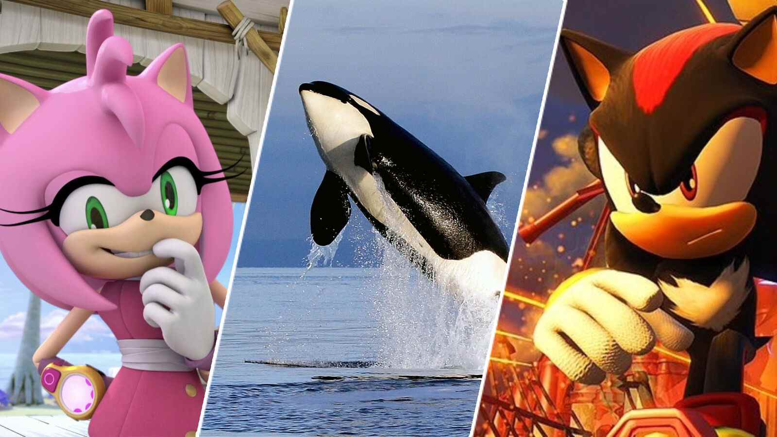 5 choses qui devraient être dans le film Sonic the Hedgehog 3

