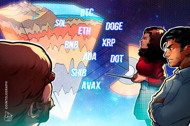 BTC, ETH, BNB, XRP, ADA, SOL, DOGE, POINT, AVAX, SHIB