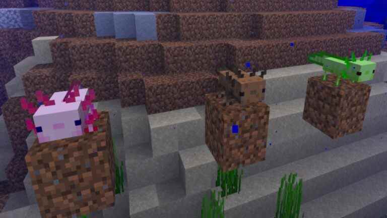 Comment apprivoiser les axolotls dans Minecraft
