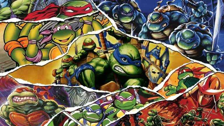 Teenage Mutant Ninja Turtles sur les consoles Nintendo - Une histoire en demi-coque
