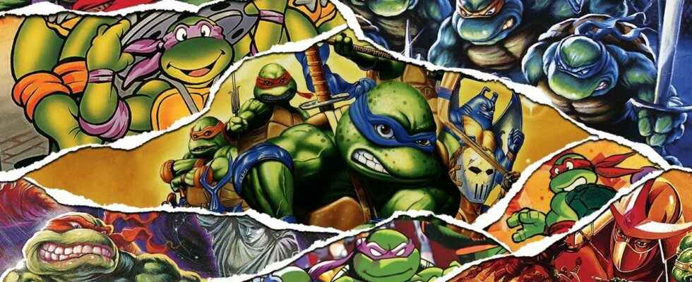 Teenage Mutant Ninja Turtles sur les consoles Nintendo - Une histoire en demi-coque
