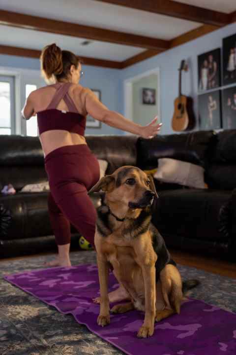 Un chien regarde une femme faire du yoga sur Apple Fitness+.