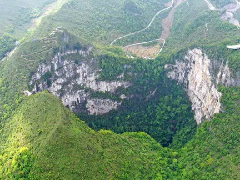 Une ancienne forêt découverte en Chine — au fond d’un gouffre