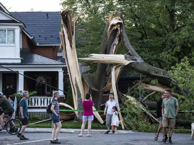 Des milliers de personnes au Québec et en Ontario toujours sans électricité après la tempête du week-end qui a fait au moins neuf morts