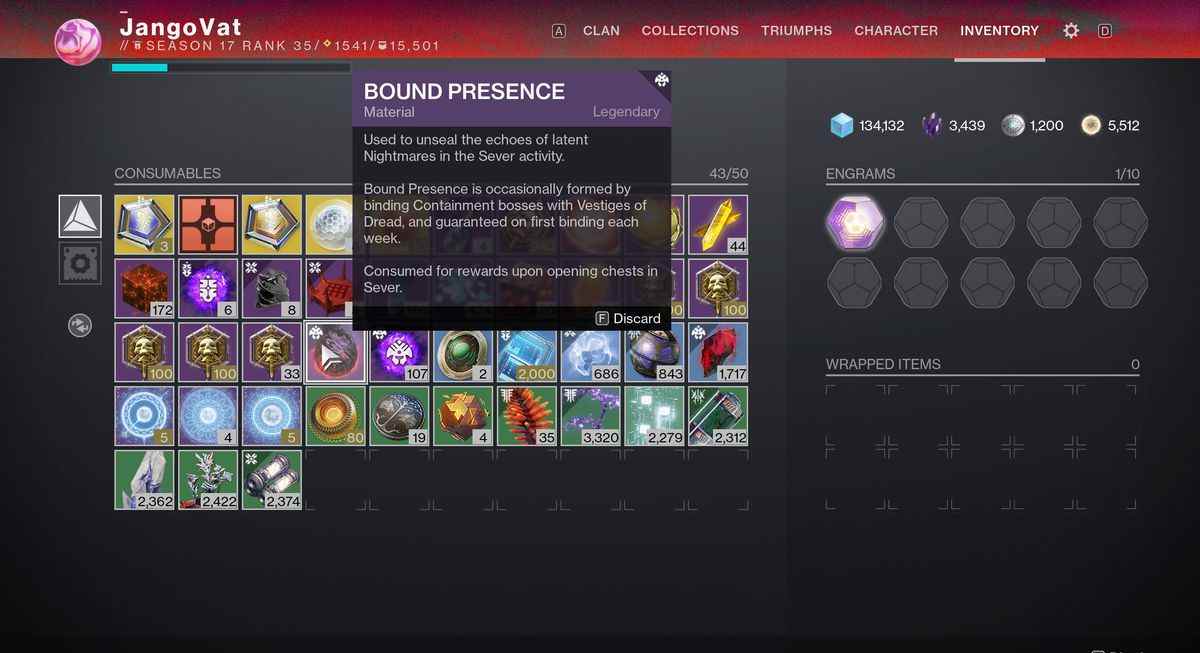 Présence liée dans l'inventaire d'un gardien dans Destiny 2: Season of the Haunted