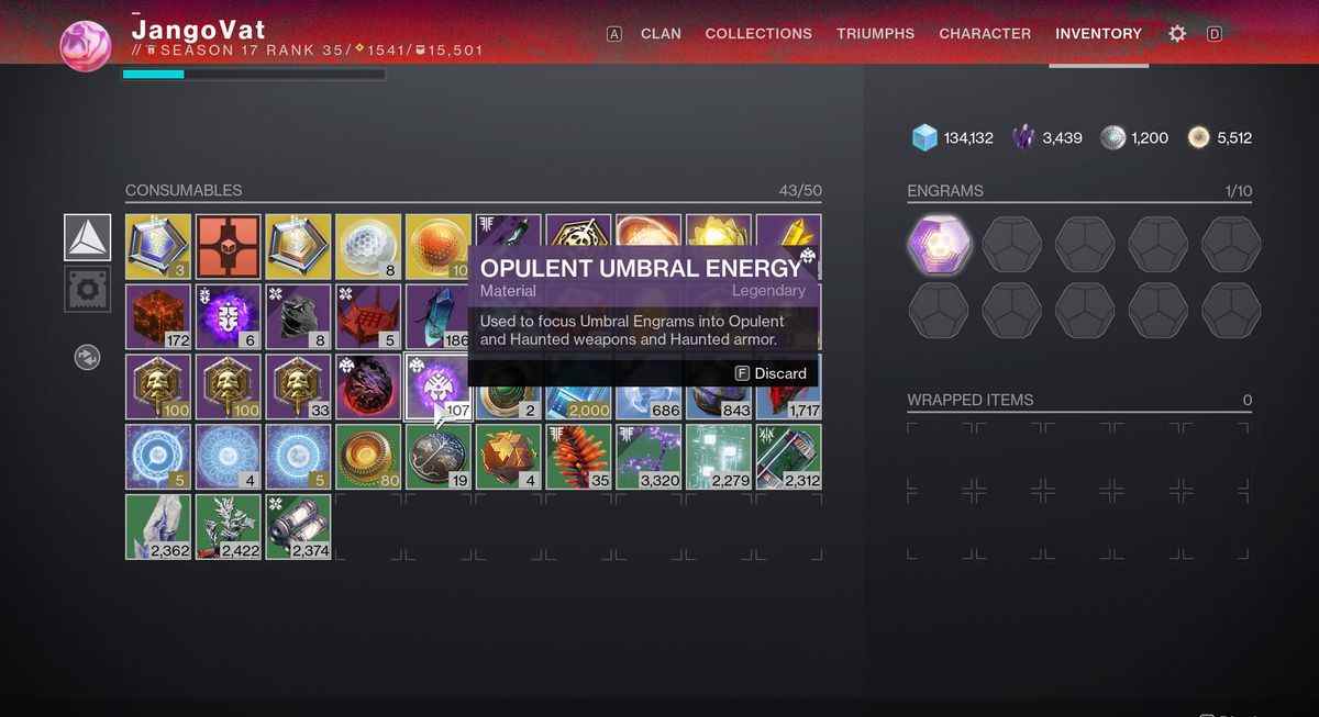 Opulent Umbral Energy dans l'inventaire d'un gardien dans Destiny 2: Season of the Haunted