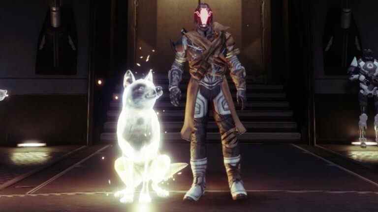 Vous pouvez enfin caresser le chien dans Destiny 2
