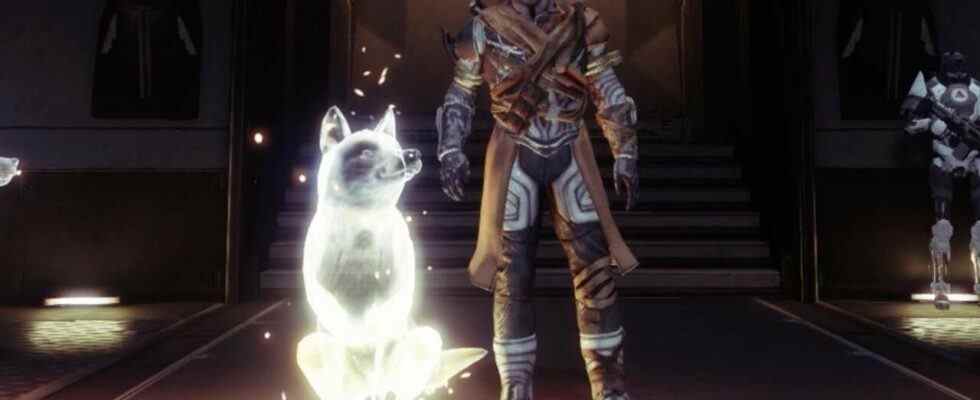 Vous pouvez enfin caresser le chien dans Destiny 2