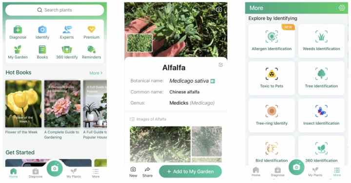 Trois captures d'écran de l'application Plant ID, PictureThis.  Le premier étant l'écran d'accueil.  La deuxième capture d'écran montre que l'application identifie correctement une image de luzerne.  Le troisième affiche une liste de fonctions d'identification supplémentaires 