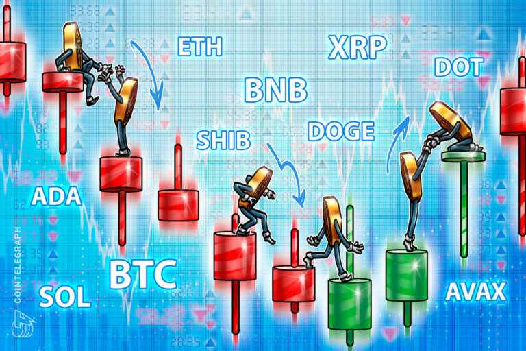 BTC, ETH, BNB, XRP, ADA, SOL, DOGE, POINT, AVAX, SHIB