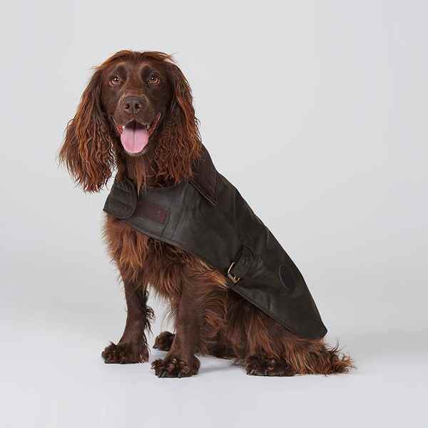 Manteau pour chien en cire Barbour