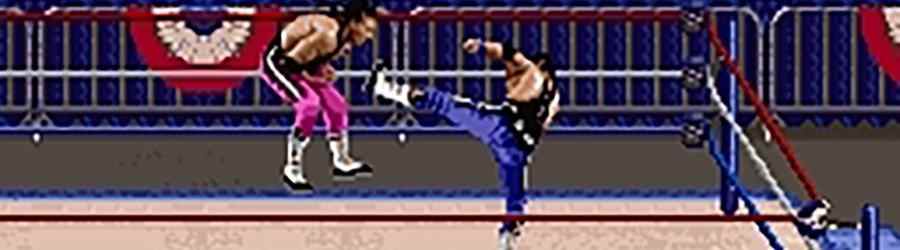 WWF Wrestlemania: Le jeu d'arcade (SNES, 1995)