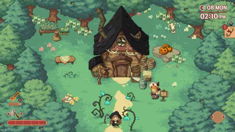 7 des choses les plus mignonnes de Little Witch In The Woods

