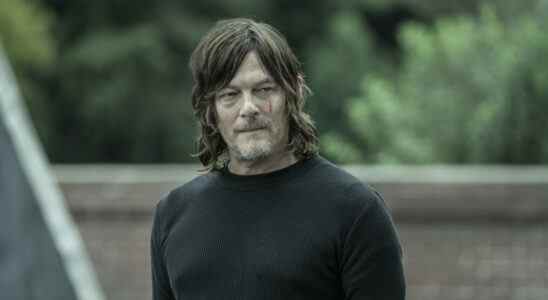 the walking dead, Norman Reedus as Daryl Dixon