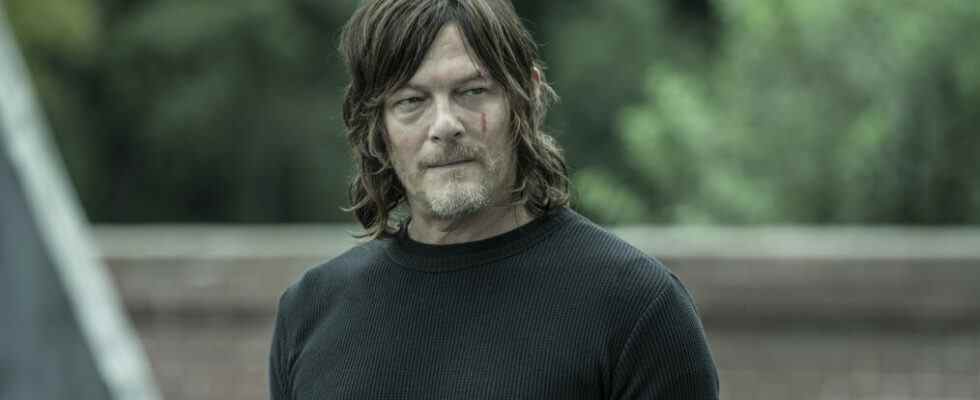 the walking dead, Norman Reedus as Daryl Dixon