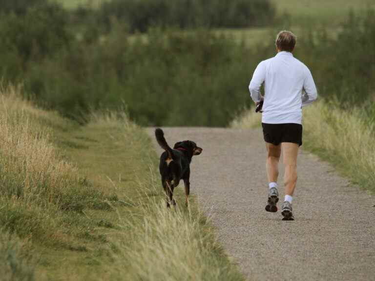 Ajoutez du peps à votre routine de course