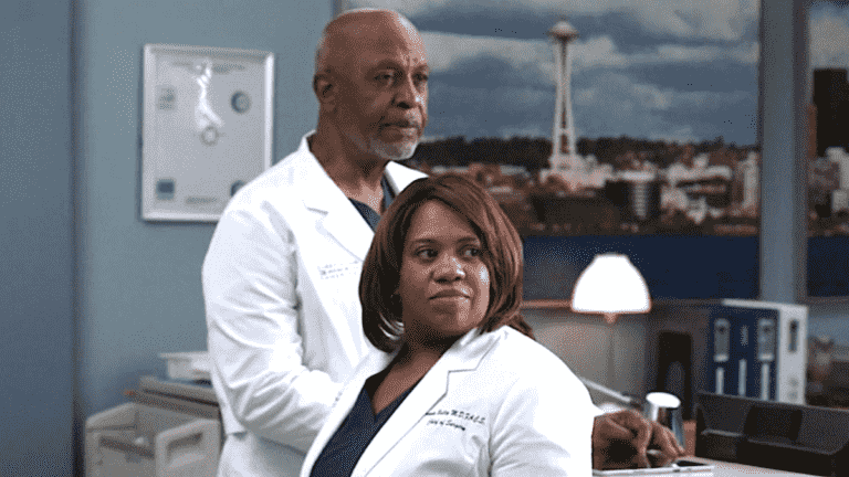 Avant la finale de la saison 18 de Grey's Anatomy, les stars se demandent déjà si la saison 19 sera leur dernière
