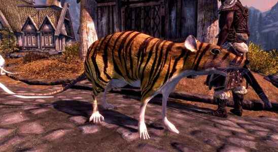 Ce mod Skyrim ajoute des compagnons rats géants, avec des rayures