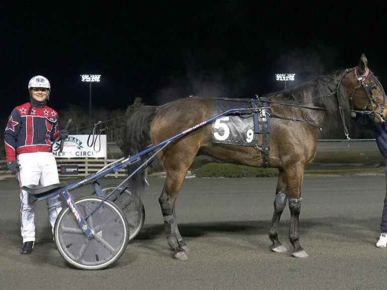 Henriksen, le cheval «fort» Perfetto prêt pour la course Elitloppet de ce week-end