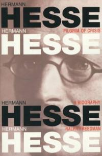 Hermann Hesse, Pilgrim of Crisis: A Biography Summary & Study Guide Description