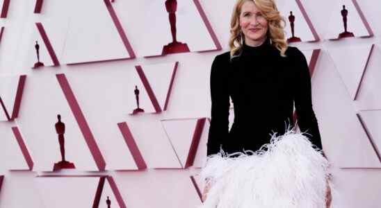 Laura Dern arrives at the Oscars on Sunday, April 25, 2021, at Union Station in Los Angeles. (AP Photo/Chris Pizzello, Pool)