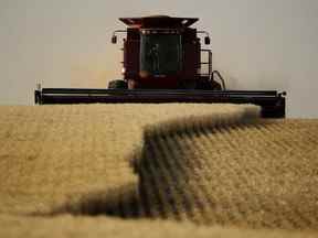 Après une année difficile pour l'agriculture canadienne, le CN Rail croit que les agriculteurs verront une meilleure récolte cette année.