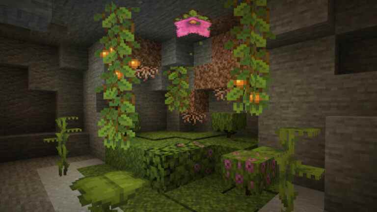 Le dernier instantané Caves & Cliffs de Minecraft est bien humide

