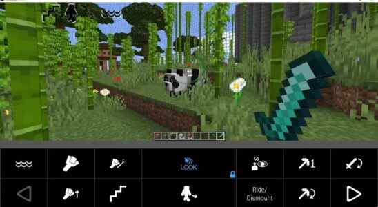 Le logiciel de suivi oculaire Minecraft apporte de grandes améliorations à l'accessibilité