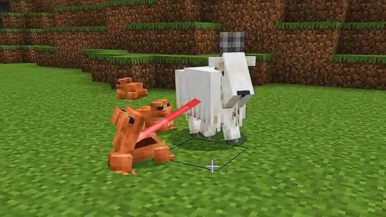 Les grenouilles de Minecraft mangeaient des chèvres
