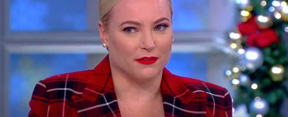 Meghan McCain dit que les hôtes de la vue la "diaboliseraient", mais elle a toujours du respect pour l'un d'eux