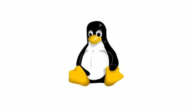 La dernière mise à jour du noyau Linux pourrait faire des ravages sur vos machines virtuelles