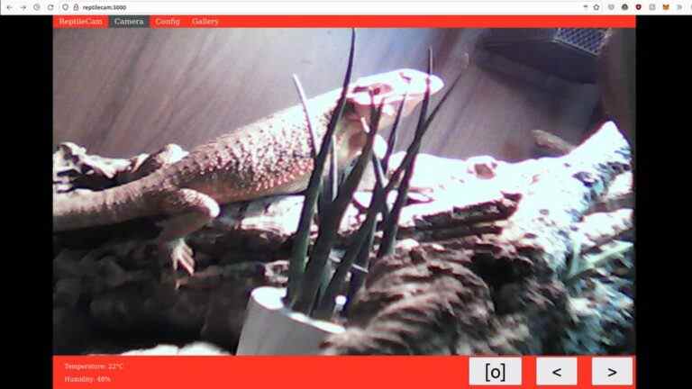 Raspberry Pi Reptile Cam surveille les lézards pour un support optimal