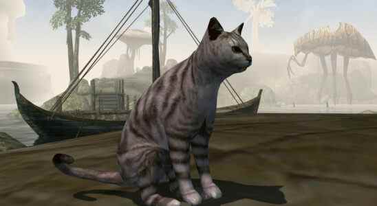 Un moddeur de Morrowind a ajouté le chat familial pour protéger ses enfants des crabes de boue