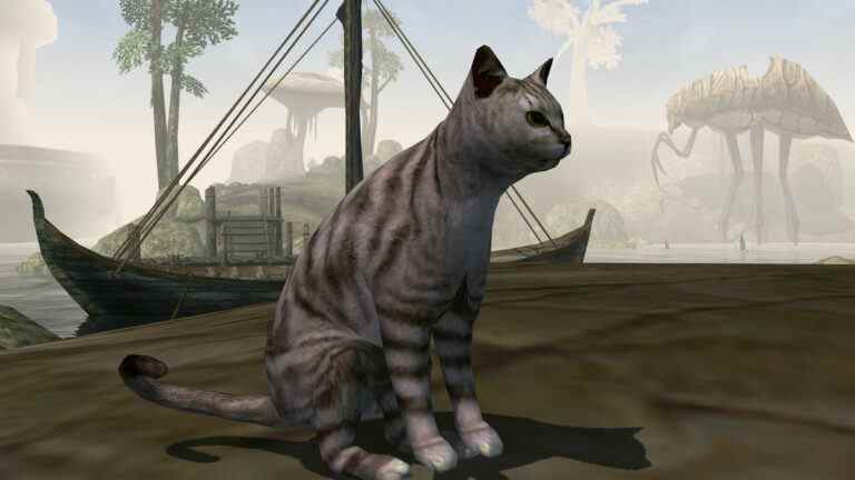 Un moddeur de Morrowind a ajouté le chat familial pour protéger ses enfants des crabes de boue

