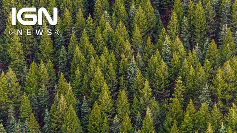 Une ancienne forêt cachée a été découverte dans un gouffre en Chine
