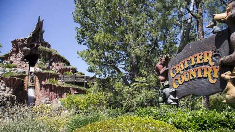 Viral TikTok montre un homme se rasant la barbe sur Splash Mountain dans ce qui pourrait être la plus grande photo de course de tous les temps
