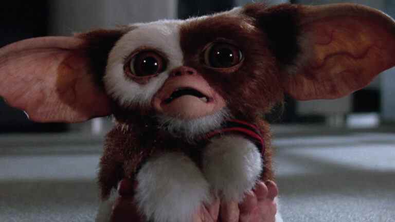 Voici un premier aperçu de la série animée HBO Max d'Amblin Gremlins: Secrets Of The Mogwai
