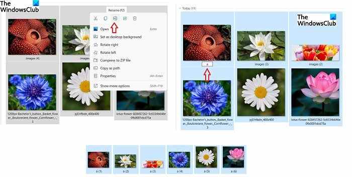 Comment sélectionner, copier et coller, supprimer, renommer plusieurs fichiers et dossiers dans Windows 11/10