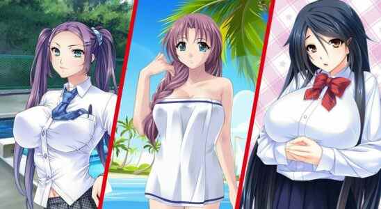 'Pretty Girls Game Collection' amène quatre "Lewd Puzzlers" à changer cet été